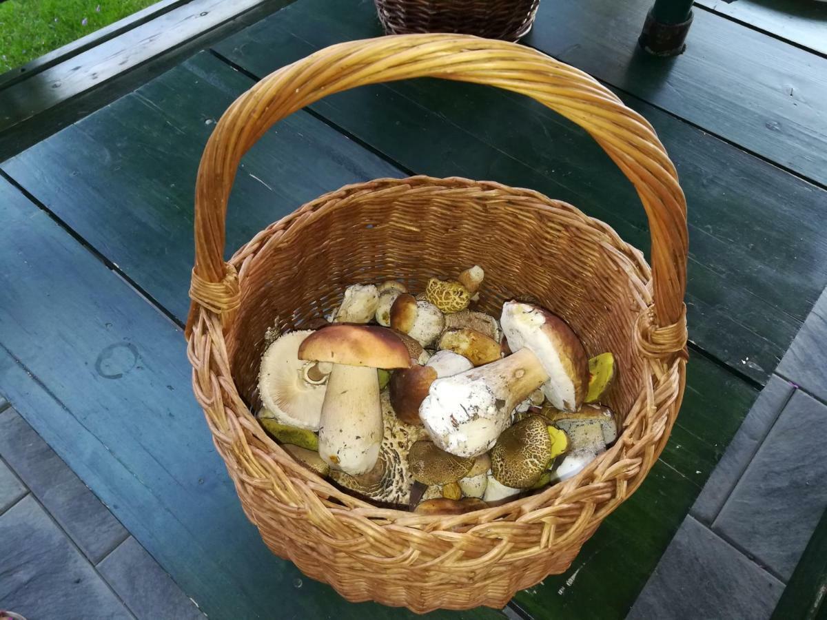Chata Pod Lesem Rýmařov Exteriör bild